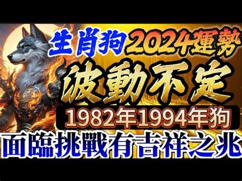 1982屬狗2023運勢顏色|1982年出生属狗人2023年运势及运程